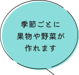 季節ごとに果物や野菜が作れます